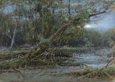 Fireflies, Demerera, 1902 körül (v/c és testszín papíron) alkotó: Albert Goodwin