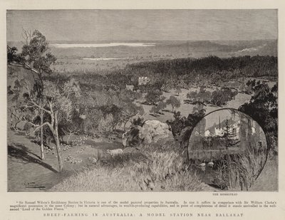 Birkatenyésztés Ausztráliában, mintaállomás Ballarat közelében alkotó: Albert Henry Fullwood