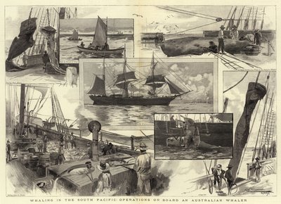 Bálnavadászat a Csendes-óceán déli részén, műveletek egy ausztrál bálnavadász fedélzetén alkotó: Albert Henry Fullwood