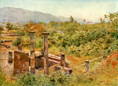 Kilátás Pompeiből alkotó: Alberto Pisa