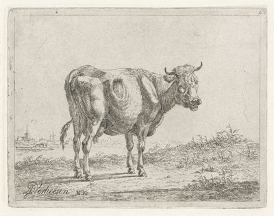 álló tehén alkotó: Albertus Verhoesen