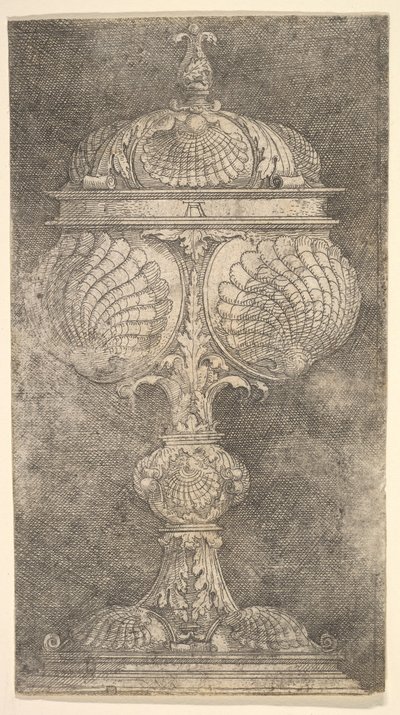 Fedett Serleg Shells.n.d. alkotó: Albrecht Altdorfer