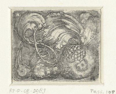 Gránátalma és levél szőlő alkotó: Albrecht Altdorfer