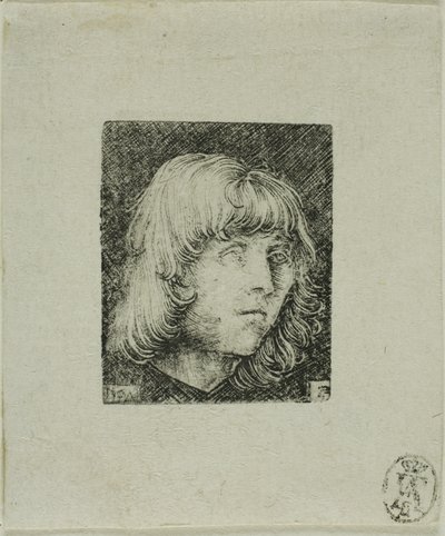 Egy fiatalember feje alkotó: Albrecht Altdorfer