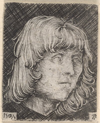 Egy fiatal férfi feje alkotó: Albrecht Altdorfer