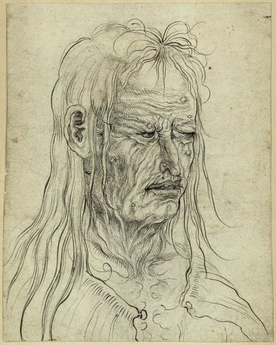 Egy csúnya idős asszony feje, jobbra néző alkotó: Albrecht Altdorfer