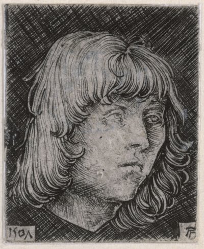 Egy fiatal férfi feje alkotó: Albrecht Altdorfer