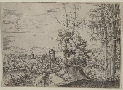 Táj két fenyővel alkotó: Albrecht Altdorfer