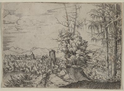 Táj két fenyővel, 1522-1525. alkotó: Albrecht Altdorfer