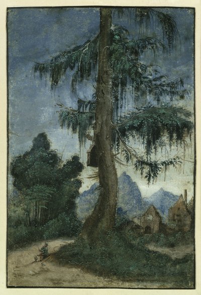  alkotó: Albrecht Altdorfer