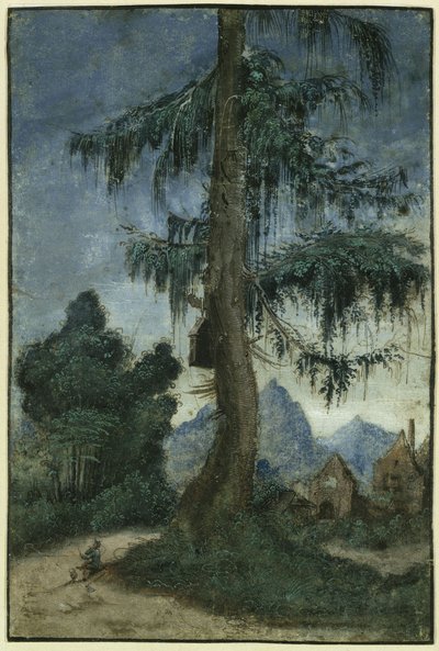 Táj lucfenyővel alkotó: Albrecht Altdorfer