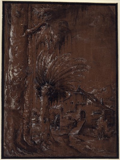 Táj vízimalommal alkotó: Albrecht Altdorfer