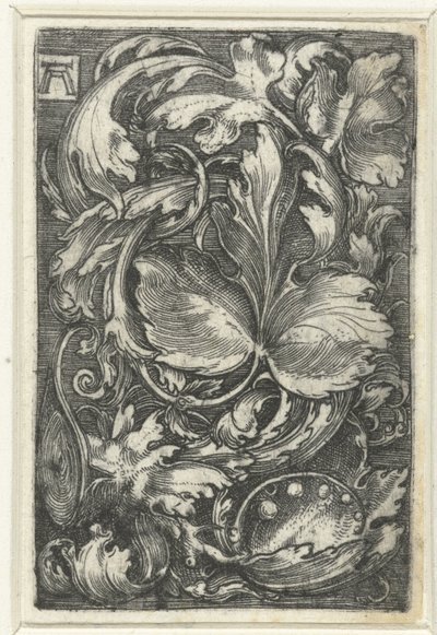 Dísz találkozott bladranken alkotó: Albrecht Altdorfer