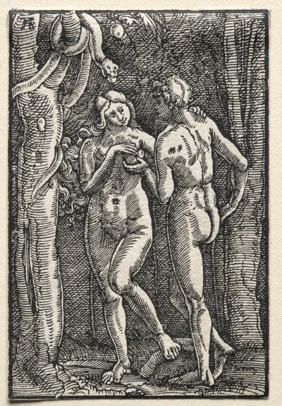 Az ember bukása és megváltása: Ádám és Éva megeszik a tiltott gyümölcsöt, c. 1515. alkotó: Albrecht Altdorfer
