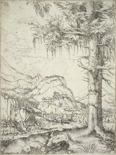 A nagy lucfenyő, 1520 körül alkotó: Albrecht Altdorfer