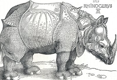 Egy orrszarvú, 1515, 1906 alkotó: Albrecht Dürer