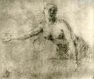 Egy tanulmány, 1913 alkotó: Albrecht Dürer