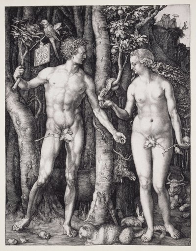 Ádám és Éva alkotó: Albrecht Dürer