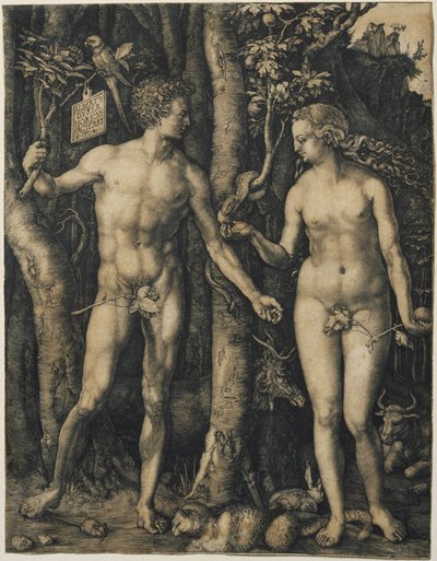 Ádám és Éva alkotó: Albrecht Dürer