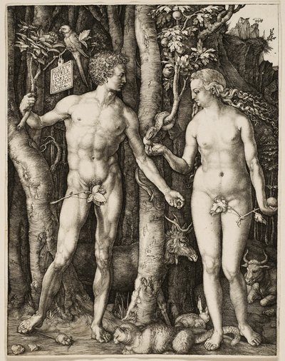 Ádám és Éva alkotó: Albrecht Dürer