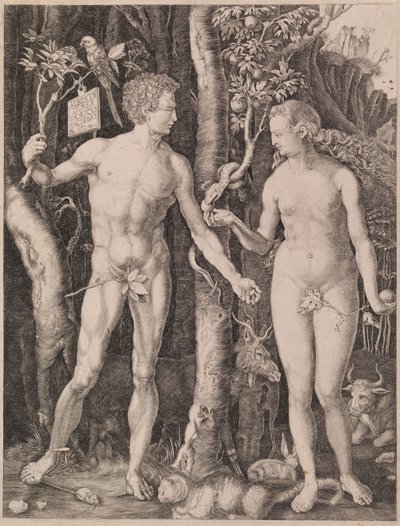 Ádám és Éva alkotó: Albrecht Dürer