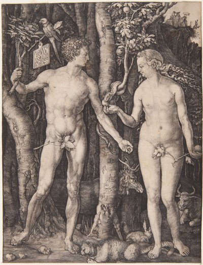  alkotó: Albrecht Dürer
