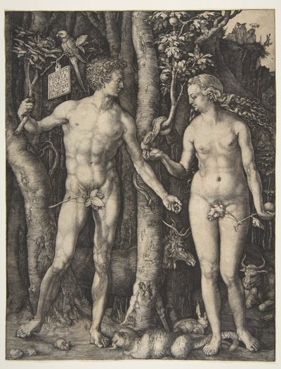  alkotó: Albrecht Dürer