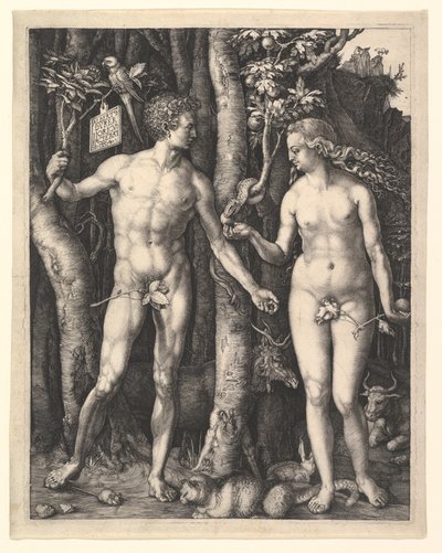  alkotó: Albrecht Dürer