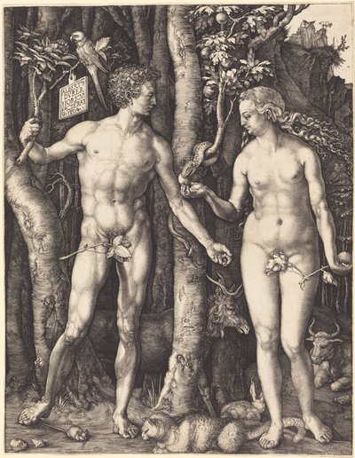  alkotó: Albrecht Dürer