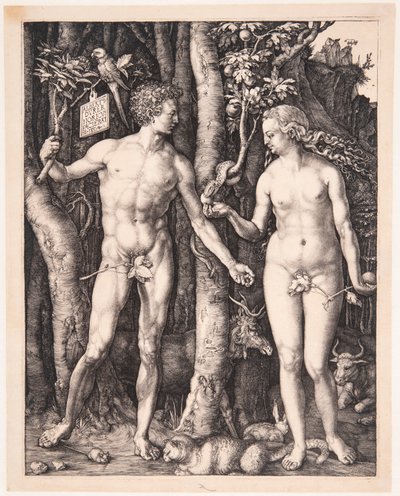  alkotó: Albrecht Dürer