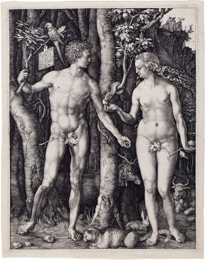  alkotó: Albrecht Dürer