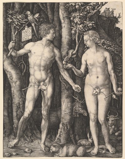  alkotó: Albrecht Dürer