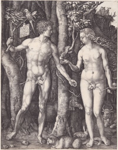  alkotó: Albrecht Dürer