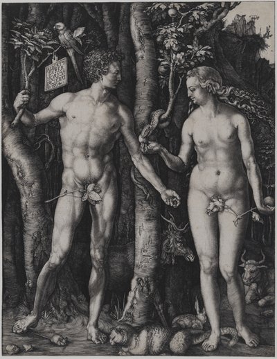 alkotó: Albrecht Dürer