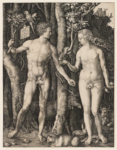  alkotó: Albrecht Dürer