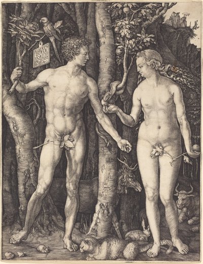  alkotó: Albrecht Dürer