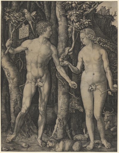  alkotó: Albrecht Dürer