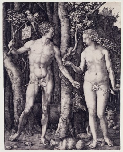  alkotó: Albrecht Dürer