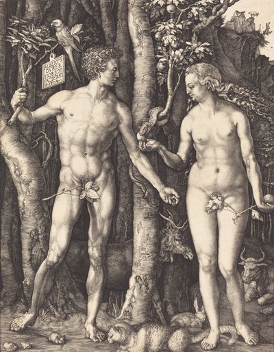Ádám és Éva, 1504. alkotó: Albrecht Dürer