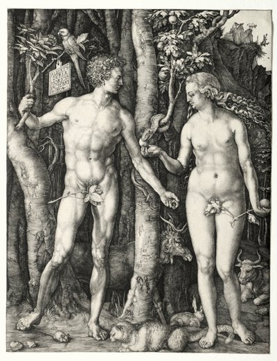Ádám és Éva, 1504. alkotó: Albrecht Dürer