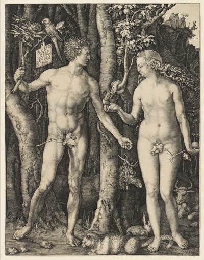 Ádám és Éva, 1504 alkotó: Albrecht Dürer
