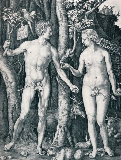 Ádám és Éva, 1504 1906 alkotó: Albrecht Dürer