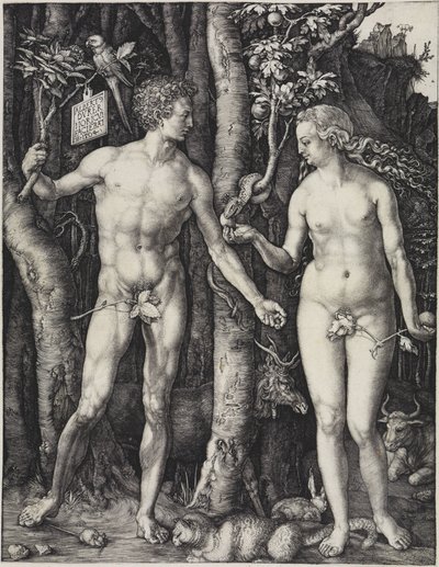  alkotó: Albrecht Dürer