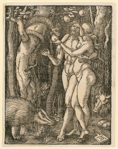 alkotó: Albrecht Dürer