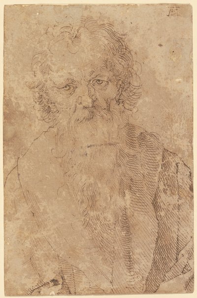  alkotó: Albrecht Dürer