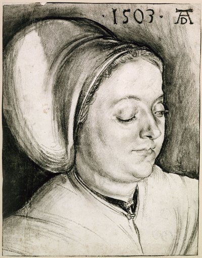  alkotó: Albrecht Dürer