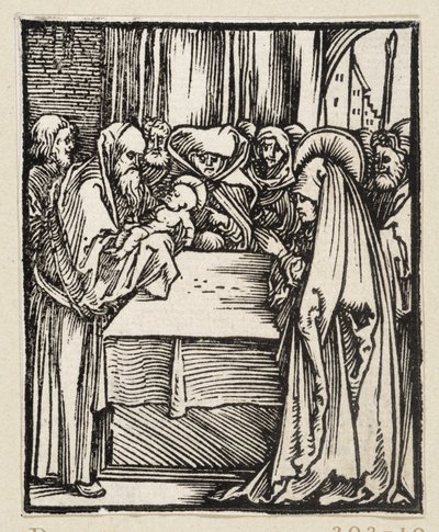  alkotó: Albrecht Dürer