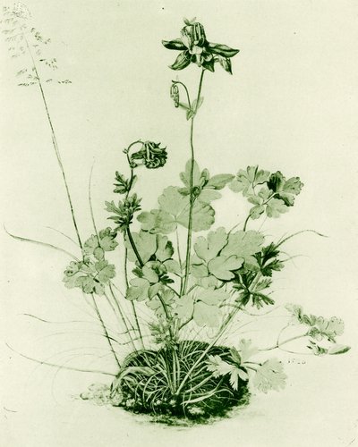 Harangláb alkotó: Albrecht Dürer