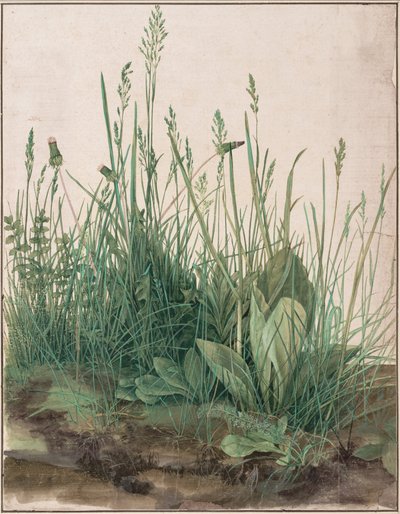 A nagy darab pázsit alkotó: Albrecht Dürer