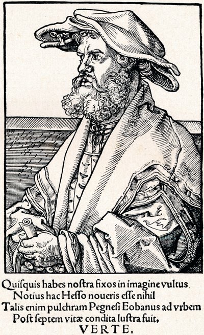Eobanus Hesse, 1527 1906 alkotó: Albrecht Dürer